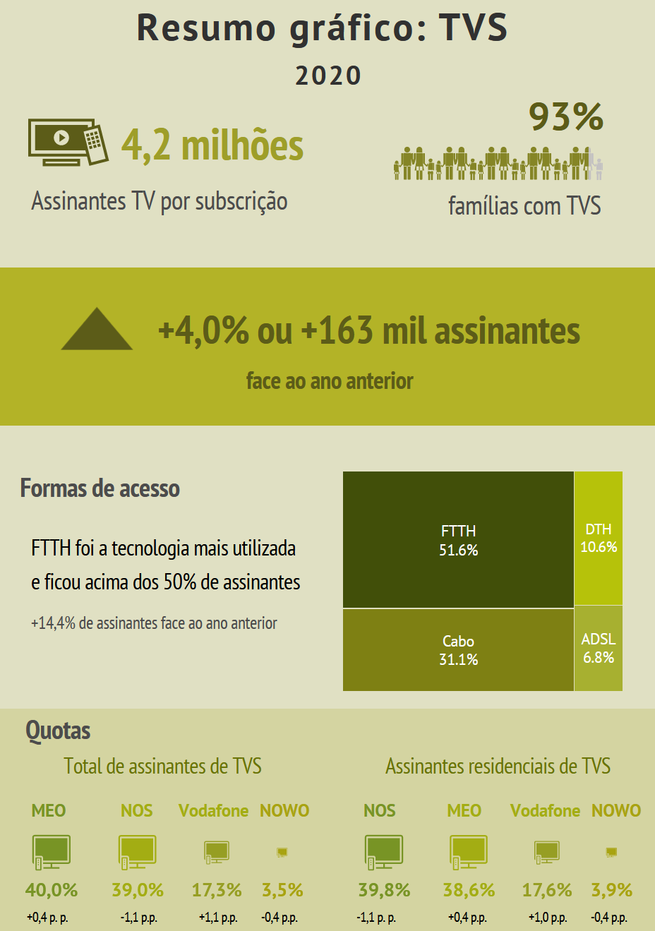 Resumo gráfico: Serviço de distribuição de sinais de televisão por subscrição em 2020